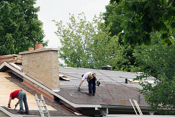 Best Storm Damage Roof Repair  in South Point, OH