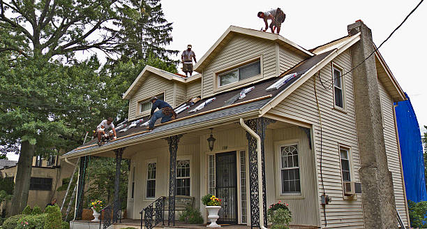 Best Roof Maintenance Services  in South Point, OH